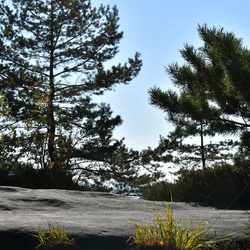 2018-10 Prague/Sächsische Schweiz/DSC_5727.JPG